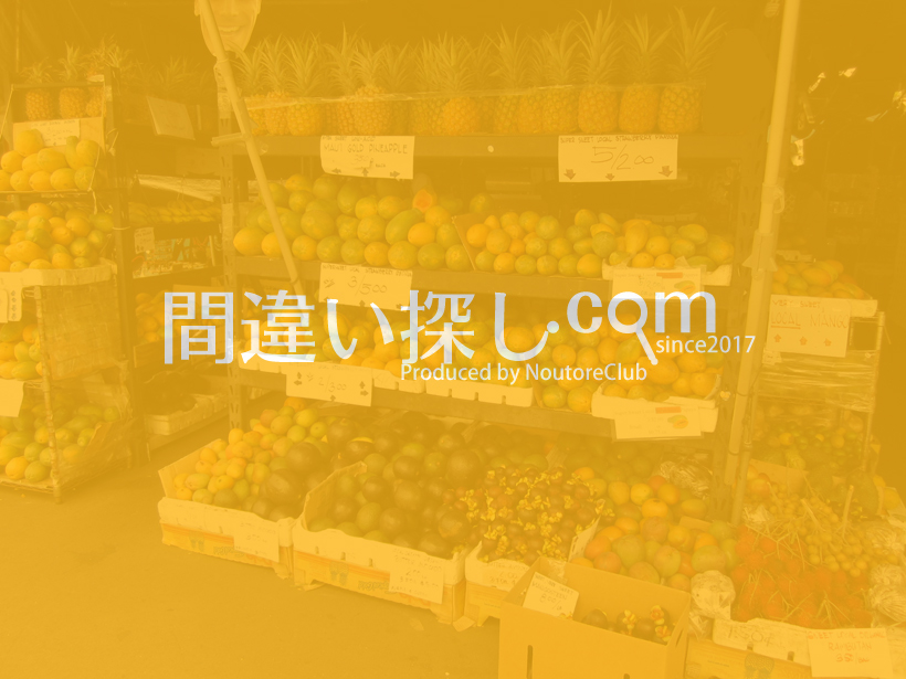 間違い探し写真